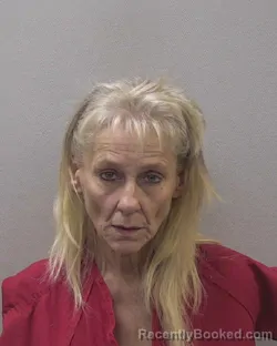 Mugshot of Karen Dawn Williams booked in Lexington County, South Carolina on October 23, 2026