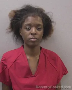 Mugshot of Niasha Sharron Hunter booked in Lexington County, South Carolina on August 16, 2026