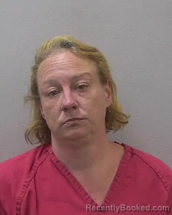 Mugshot of Patsy Joanne Johnson booked in Lexington County, South Carolina on August 23, 2026