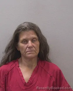 Mugshot of Phyllis Louise Wilson booked in Lexington County, South Carolina on August 16, 2026
