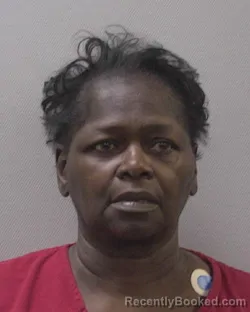 Mugshot of Sonja A Holloway booked in Lexington County, South Carolina on August 15, 2026