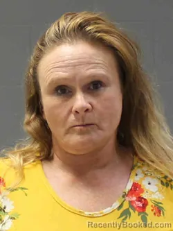 Mugshot of SUSAN LYNN ARNOLD booked in Hamilton County, Iowa on June 1, 2026