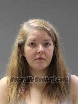 Booking photo from Hamilton County, Iowa