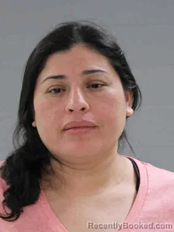 Mugshot of ANA BELEM JIMINEZ TOLEDO