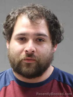 Mugshot of DANIEL PALMAREZ