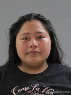 Mugshot of Daniela Leticia Gomez Poloceno booked in Hamilton County, Iowa on August 8, 2026