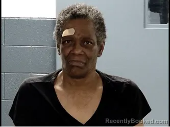 Mugshot of ROBIN LORI RICE booked in Marion County, South Carolina on April 5, 2026