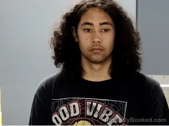 Mugshot of ELIJAH JOHNSON booked in Marion County, South Carolina on April 21, 2026