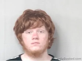 Mugshot of NOAH SHANE BROWN booked in Marion County, South Carolina on June 19, 2026