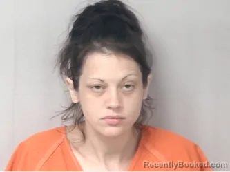 Mugshot of BRANDI LYNN SCHWARTZ booked in Marion County, South Carolina on July 4, 2026