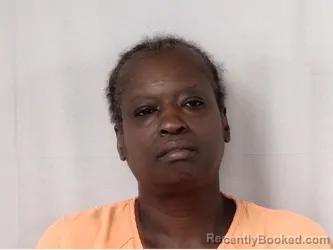 Mugshot of SCHERRIE ELIZABETH JOHNSON booked in Marion County, South Carolina on August 2, 2026
