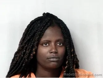 Mugshot of TANYA MCLELLAN booked in Marion County, South Carolina on August 4, 2026