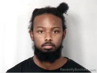 Mugshot of Harvey James Jr Young booked in Marion County, South Carolina on October 8, 2026