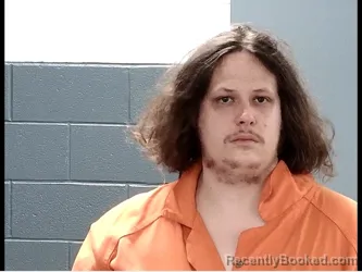 Mugshot of KELSIE LYLE METZ