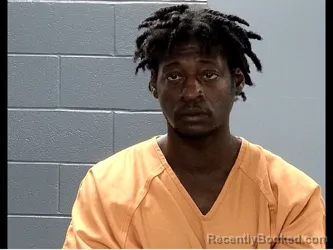 Mugshot of WALTER DWAYNE WILLIAMS booked in Marion County, South Carolina on March 27, 2026