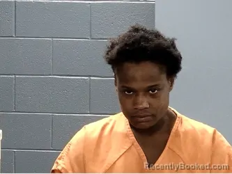 Mugshot of TYSHA FRELISHA SANDERS booked in Marion County, South Carolina on March 30, 2026