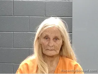 Mugshot of KATHY MAE RICHARDSON booked in Marion County, South Carolina on April 1, 2026