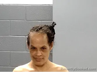 Mugshot of Suzette Michelle Wilson booked in Marion County, South Carolina on August 18, 2026