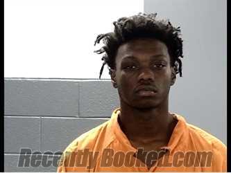 Booking photo from Marion County, South Carolina