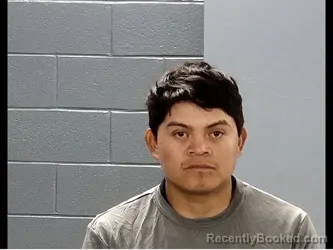 Mugshot of JOSE CAMELINO ALVAREZ