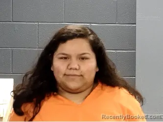 Mugshot of OLGA ESTRELLA CARDENAS