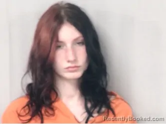 Mugshot of HAILEY ALEXIA WATTS booked in Marion County, South Carolina on June 12, 2026