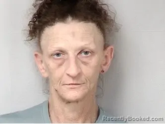 Mugshot of Mindy Jernigan Wilson booked in Marion County, South Carolina on September 3, 2026