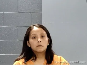 Mugshot of YOLANDA ARROYO