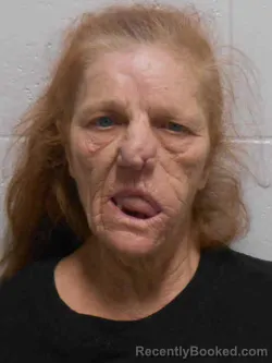 Mugshot of LORIANN LOUISE DAINS booked in Henry County, Iowa on April 30, 2026