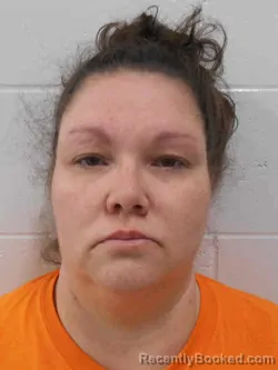 Mugshot of TINA MARIE MCDOWELL booked in Henry County, Iowa on April 18, 2026