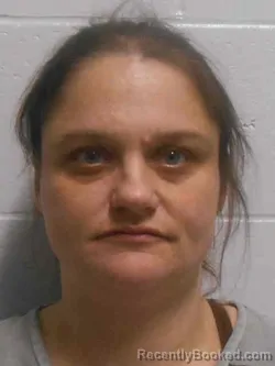 Booking photo from Henry County, Iowa