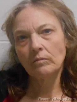 Mugshot of LYN MARIE ORWIG-SKAGGS