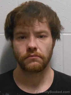 Mugshot of ROBIN JAMES WALTON