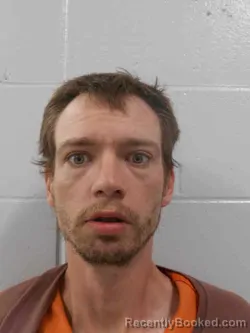 Mugshot of STEVEN RAY DOWNS booked in Henry County, Iowa on March 31, 2026