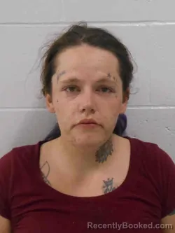 Mugshot of MEGAN ELIZABETH MILLER booked in Henry County, Iowa on March 22, 2026