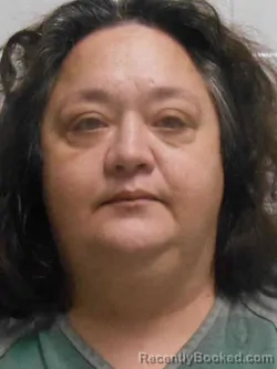 Mugshot of MELISSA LYNN SIMS