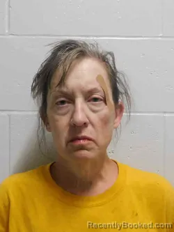Mugshot of Lynne Anne Heidbreder booked in Henry County, Iowa on August 11, 2026