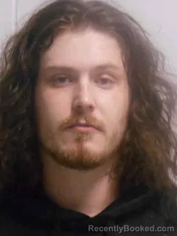 Booking photo from Henry County, Iowa