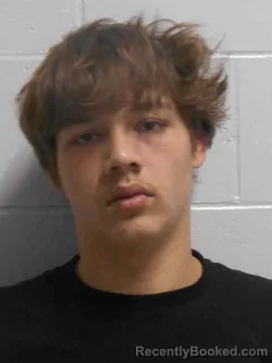 Booking photo from Henry County, Iowa