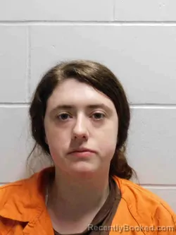 Booking photo from Henry County, Iowa