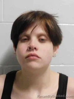 Mugshot of Sarah Jolin Salzer booked in Henry County, Iowa on September 30, 2026