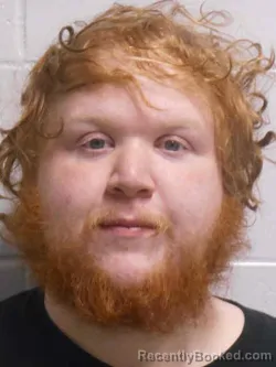 Mugshot of DEACON LEE HALLETT