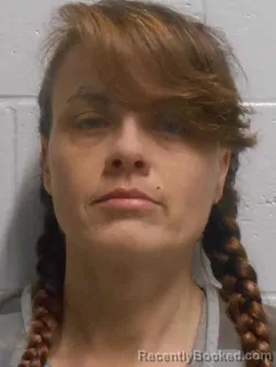 Mugshot of TERRA DAWN MCPHETER