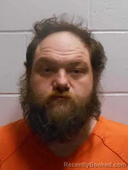 Mugshot of ROBERT LEE VICE