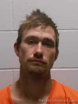 Mugshot of JESSE RYAN LOVE