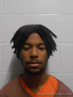 Mugshot of DAVID CHRISTINE ALANE DAVIS