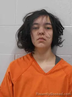 Mugshot of ASHLEY BETH ZAMORA booked in Henry County, Iowa on March 19, 2026