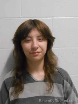 Mugshot of VANESA MORALES booked in Henry County, Iowa on March 25, 2026