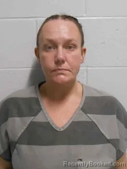 Mugshot of GILLIAN RENE HOLE booked in Henry County, Iowa on March 25, 2026