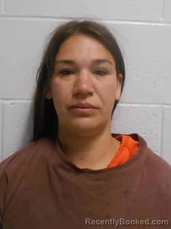 Mugshot of ABIGAIL LYNN BOYD booked in Henry County, Iowa on June 6, 2026